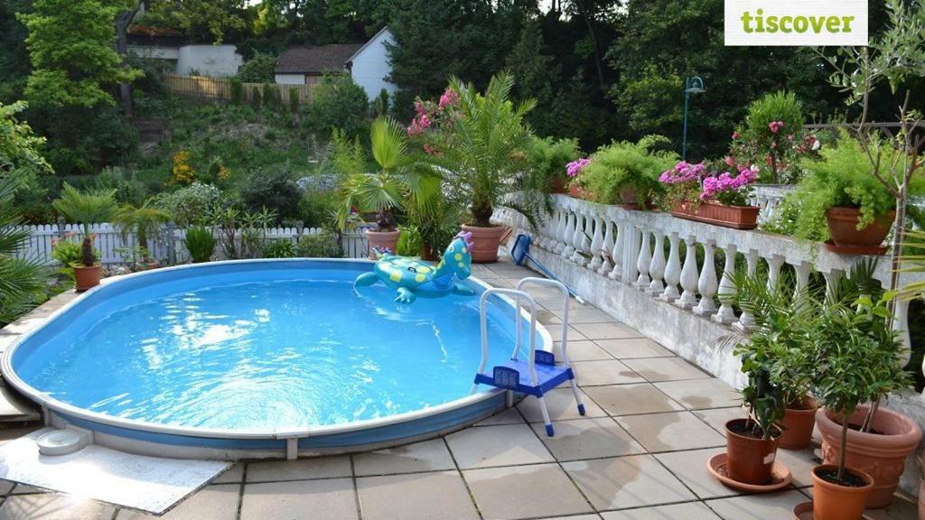 Ferienhaus Fabio Thurnthal エクステリア 写真